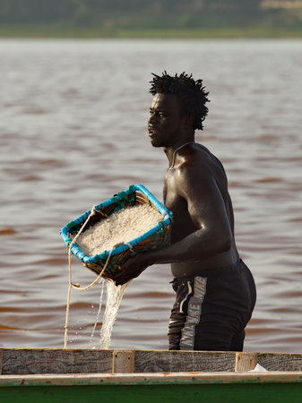 Dakar. Senegal. October 12, 2021. A young African poses with a heavy basket filled with salt extracted from the bottom of the famous Lac Rose Lake.のeditorial素材