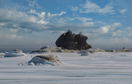 Russia. The western coast of Sakhalin Island. White sea gulls on the picturesque ice floes of the spring Pacific Ocean.の写真素材