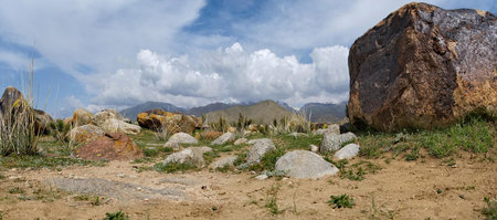 Kyrgyzstan, Cholpon-Ata. Huge stones scattered over a large area in the open-air museum of petroglyphs on the northern shore of Lake Issyk-Kul. Their age is 2000-5000 years.の写真素材
