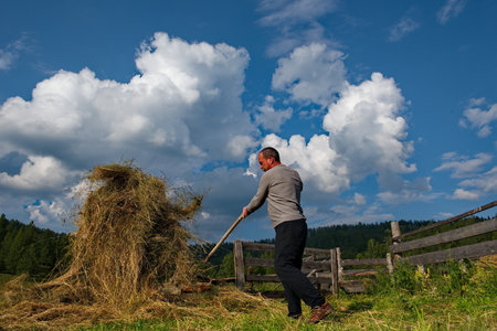 Yabogan. Russia. August 07, 2020. Farmers of the mountain Altai village collect sun-dried hay in large stacks manually with special pitchforks.のeditorial素材