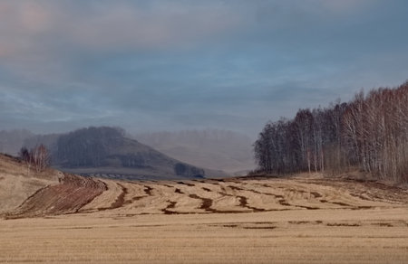 Russia. Krasnoyarsk Territory. Morning view of the relief hills with mown fields in a haze under the sky with picturesque clouds.の写真素材