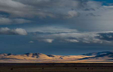 Russia, the Altai Mountains. Unusual contrasts partially illuminated by the setting sun relief mountains along the Chuya River valley near the village of Kosh-Agach.の写真素材