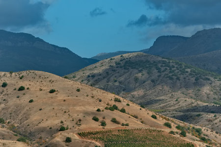 Russia, Republic of Crimea. Magnificent view of the mountain slopes planted with vineyards near the...