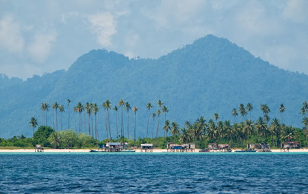 Malaysia. A view of the shore of a reef island with coconut palms and the huts of a sea gypsy...