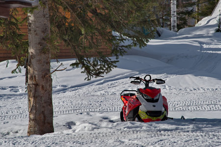 Kuznetsky Alatau, Russia. March 30, 2025. A cozy place under a tall taiga fir tree next to a small snowmobile in the courtyard of the guest house.の写真素材