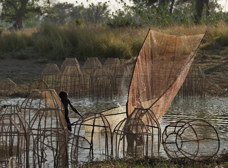Djouman, Chad. On March 02, 2026, African children catch fish with large nets in a shallow lake...