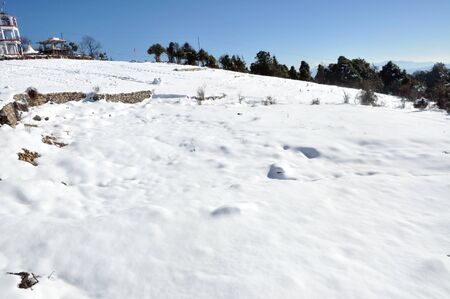 snow fall in the fieldの写真素材