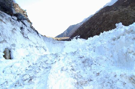 A road between the glacierの写真素材