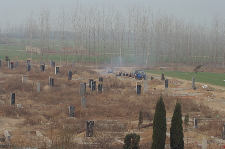 Closeup of graveyardのeditorial素材