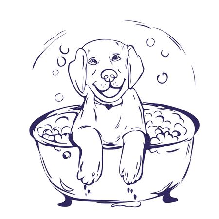 Dog bath grathic illustrationのイラスト素材