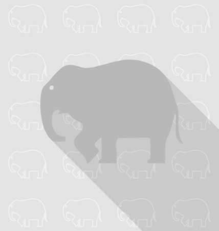 elephant in background patternのイラスト素材