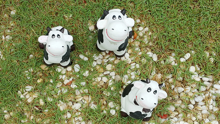Cows clay dolls in the garden.の写真素材