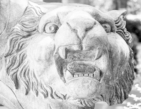 Tigers head carved from stone decorations.の写真素材