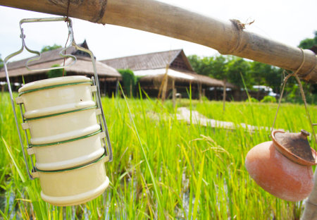 Lunch boxes and earthenware pots with food are hung on bamboo stalks for a break from rice farming.の写真素材