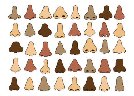 Vector illustrations set of hand drawn human noses in various shapes and skin colors on a white background.のイラスト素材