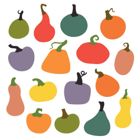 Various shaped pumpkins. Collection of hand drawn, vector illustrations.のイラスト素材