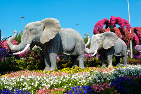 Dubai, United Arab Emirates (UAE), December 2022: Dubai Miracle Garden, a beautiful flower garden containing enormous flower structures.のeditorial素材