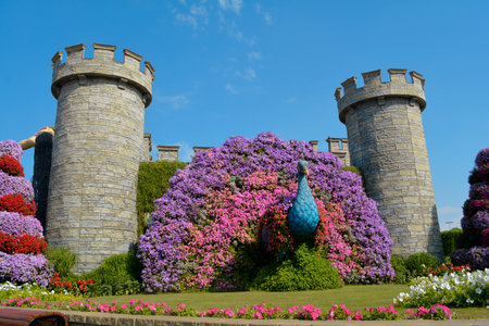 Dubai, United Arab Emirates (UAE), December 2022: Dubai Miracle Garden, a beautiful flower garden containing enormous flower structures.のeditorial素材
