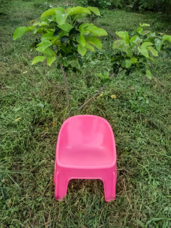 Pink chair for kids on grassの写真素材