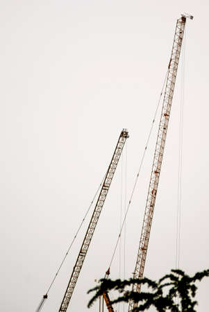 Crane on white backgroundの写真素材