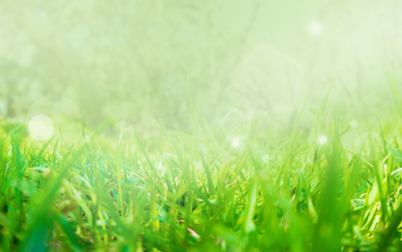 Abstract nature grass with bokeh and glowing light, blurred and vintage filteredの写真素材