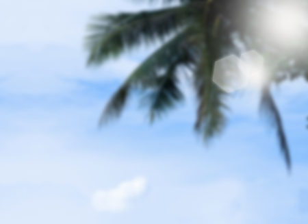Blurred coconut tree with blue skyの写真素材