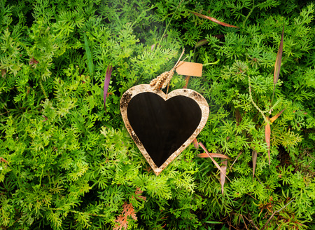 Heart shape black board on fern, valentine's day backgroundの写真素材