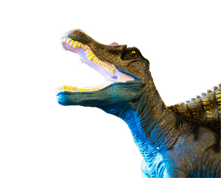 Dinosaur roaring, isolated on white background with clipping pathの写真素材