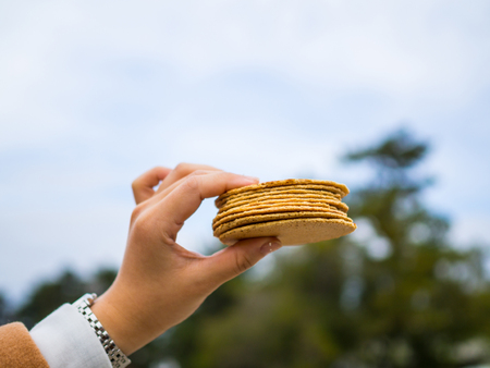 Deer feeds, hand holding sold at Nara, Japanの写真素材