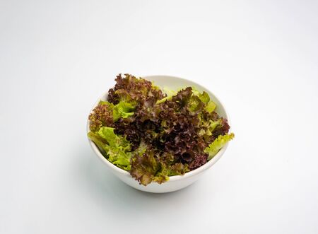 Vegetable Salad bowl on isolated white backgroundの写真素材