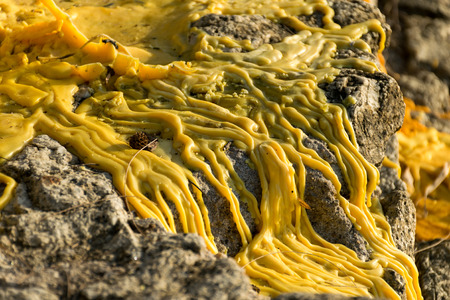 Candle wax on the floorの写真素材