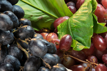 Fresh grapes on sales in the marketの写真素材