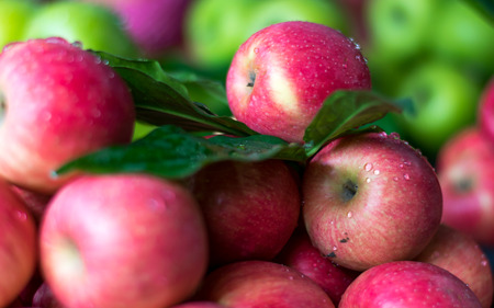 Close up Bunch of  Applesの写真素材