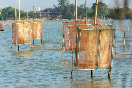 Basket fish traps to catch crab and lobsterの写真素材