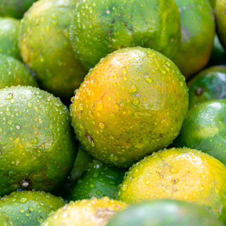 Pile of Fresh orange fruit with water dropsの写真素材