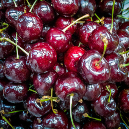 ripe berries cherriesの写真素材
