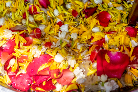 Water in bowl with many flower, Songkran festival in Thailand (Selective focus)の写真素材