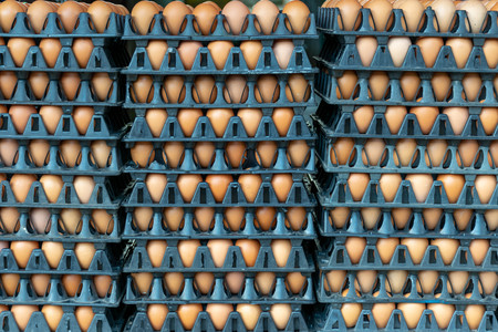 Group of fresh eggs in carton at the market.の写真素材