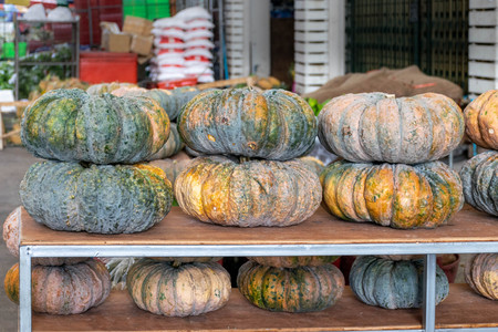 Ripe of pumpkins sold in the fruit marketの写真素材