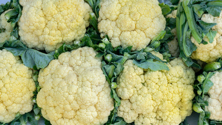 Ripe cauliflower on the market, close upの写真素材
