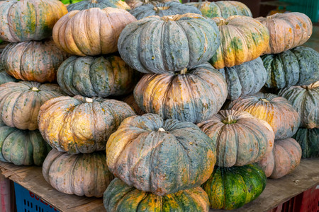 Ripe of pumpkins sold in the fruit marketの写真素材