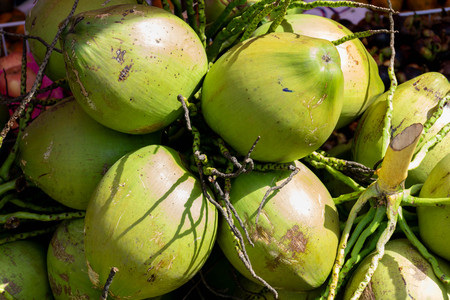 Fresh coconuts sold in the fruit marketの写真素材