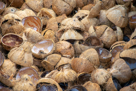 Pile of discarded coconut husksの写真素材