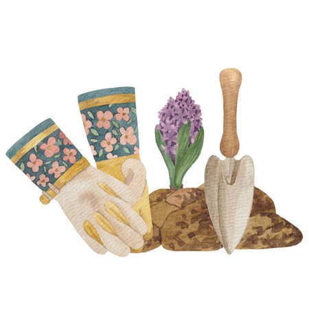 Collection of garden tools and plants.Gardening set. Spring works in the garden conceptの写真素材