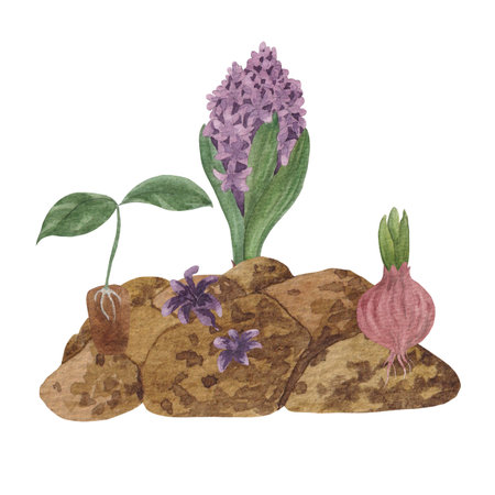 Watercolor garden seamless pattern. Garden watering can, potted plants, hyacinthの写真素材