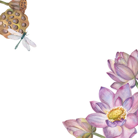 Set of pink lotus flowers and dry flowers painted in watercolor on white backgroundの写真素材