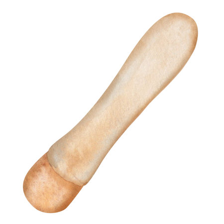 Illustration of brown bar drawn in watercolor on white background in vintage styleの写真素材