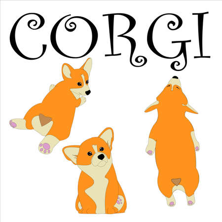 Corgi dog icons set. Playful corgi dogs in different poses. Vector illustration. Print on T-shirts, postcards, backgrounds, phone cases. Icons for design.のイラスト素材
