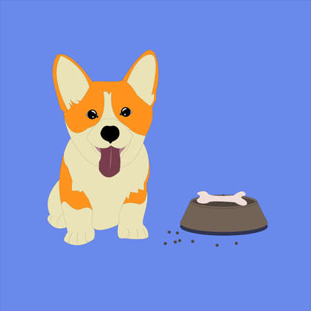 dog corgi. Playful corgi dogs in different poses. Vector illustration. Print on T-shirts, cards, backgrounds, phone cases. Icons for design.のイラスト素材