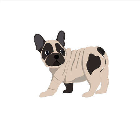 French Bulldog.illustration for website design, gifts, stickers, gift paper, cups, childrens toys, wallpaper, napkins, notebooks, phone cases, bags, clothes and other types of decorations and designs.の写真素材
